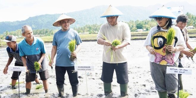 Bupati Bolmong Yusra Alhabsyi saat dampingi Gubernur Sulut Yulius Selvanus Komaling turun ke sawah. (foto.ist/Diskominfo Bolmong)